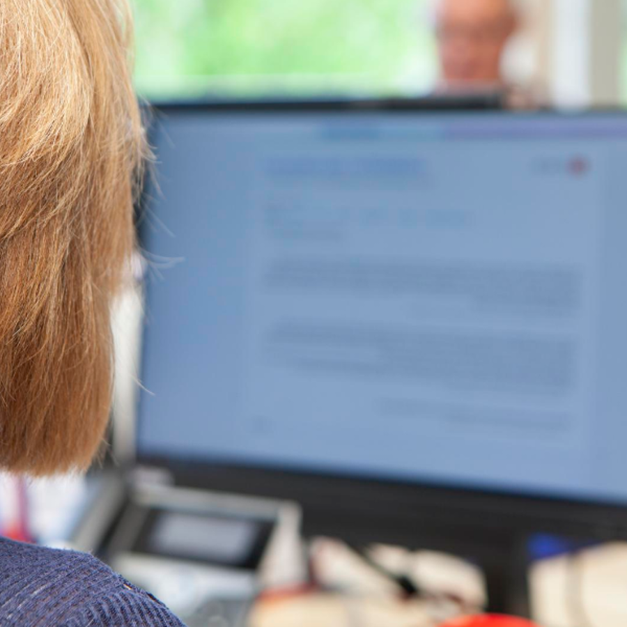 Woman looking at a computer screen with back of her head shown.