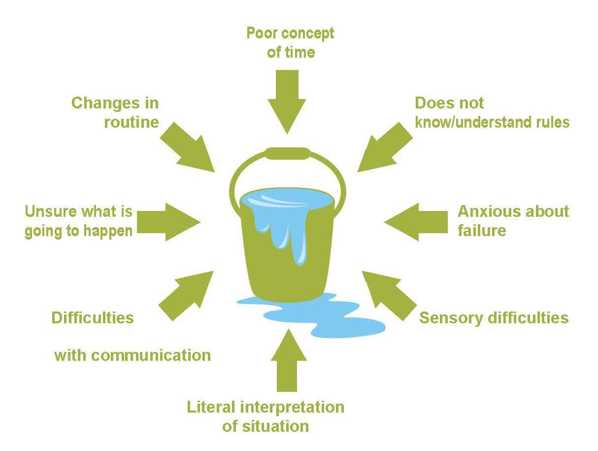 Bucket Diagram