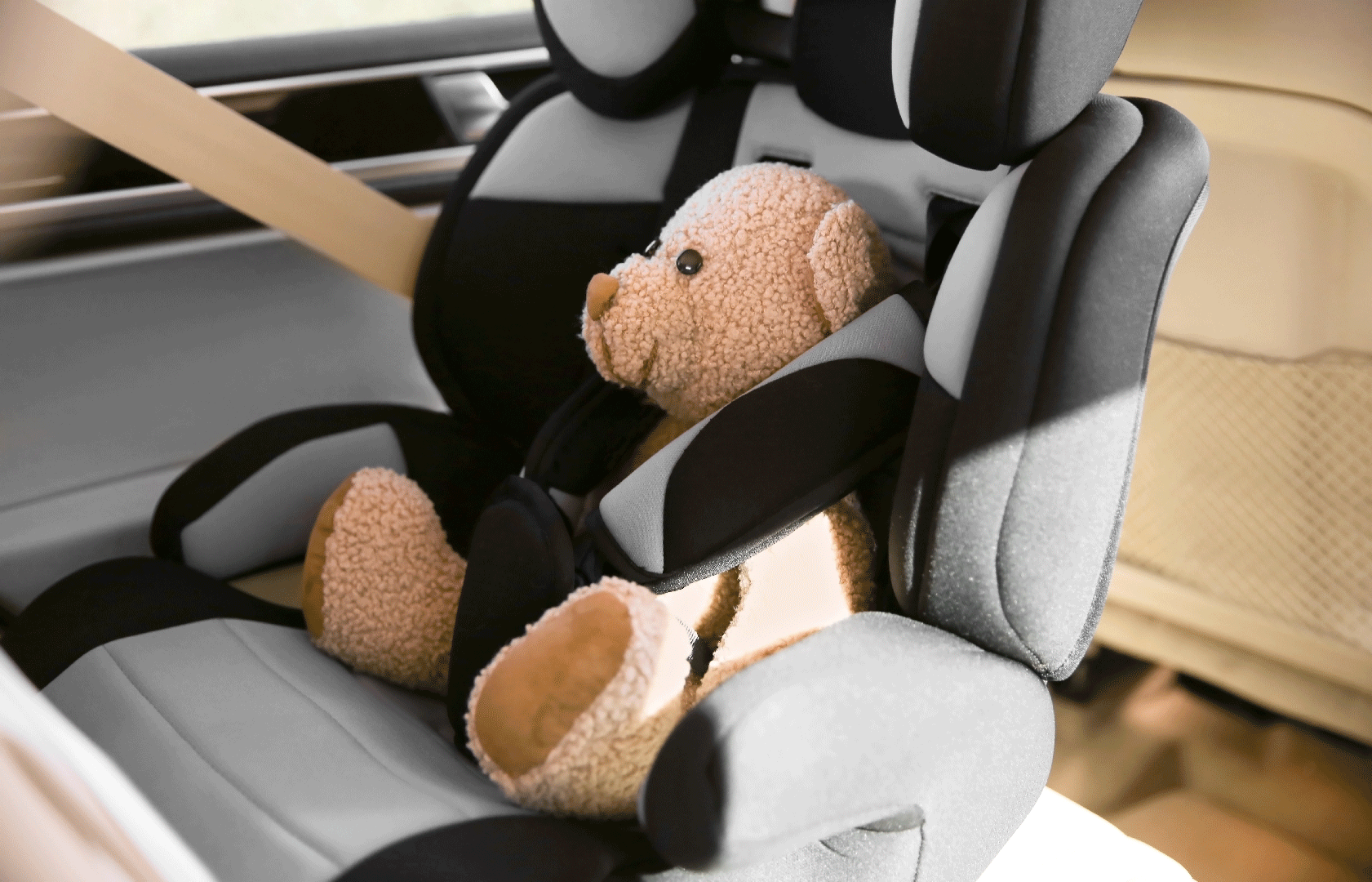 Teddy bear strapped into car seat which is in the car