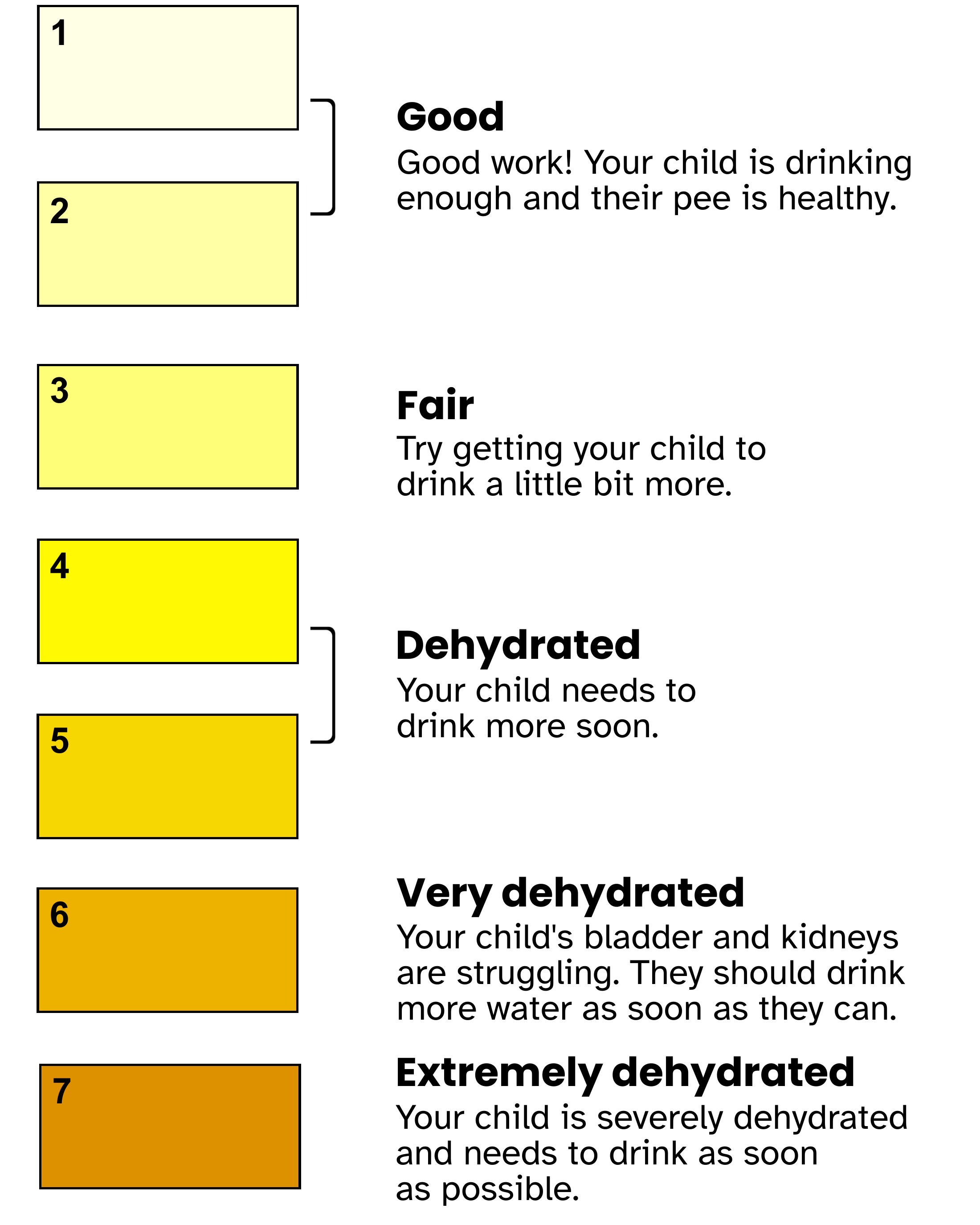 Colours 1 and 2 are pale yellow which means your child is drinking enough and their pee is healthy. Colour 3 is a light yellow that means they should drink a little more. Colour 4 is a darker yellow and colour 5 is orange which means they are dehydrated and need to drink more soon. Colour 6 is a dark orange and means they're very dehydrated. They need to drink more water as soon as they can. Colour 7 is dark orange/brown and means they are extremely dehydrated and needs to drink more water now. 