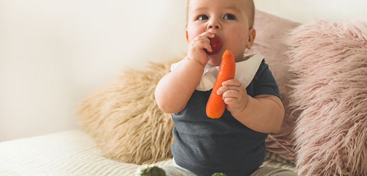 First Solid Food For Young Kid. Fresh Organic Carrot For Vegetable Lunch. Baby Weaning