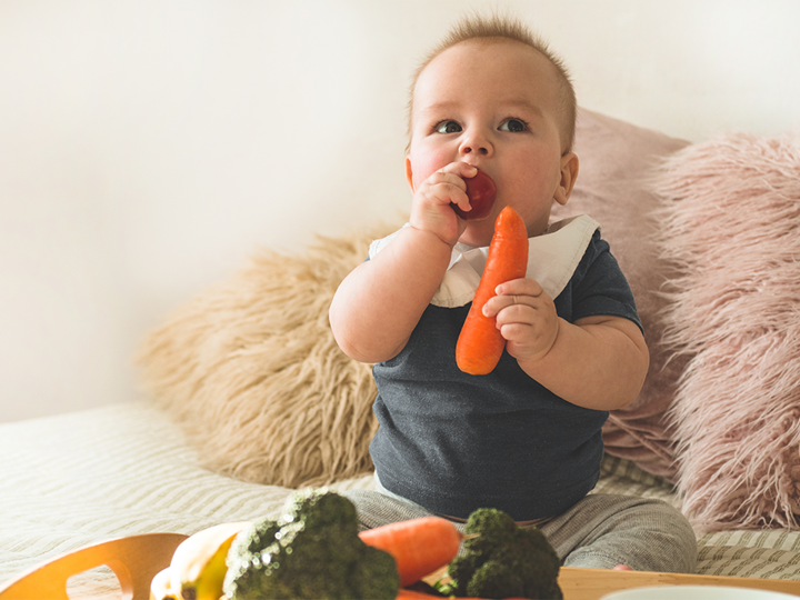 First Solid Food For Young Kid. Fresh Organic Carrot For Vegetable Lunch. Baby Weaning