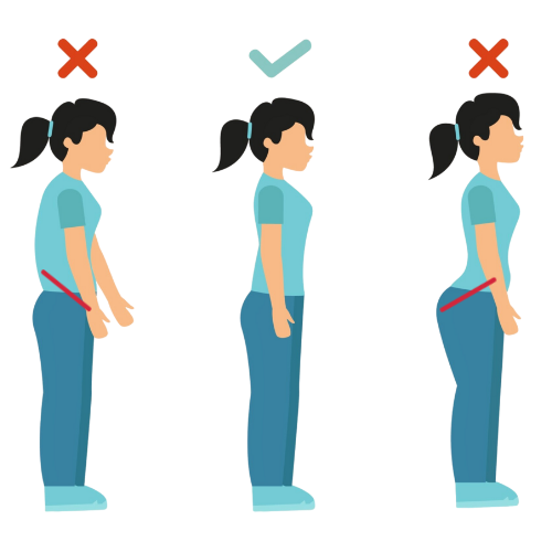 Illustration of standing posture with body in line with knees, not leaning forward or sticking out their bottom.
