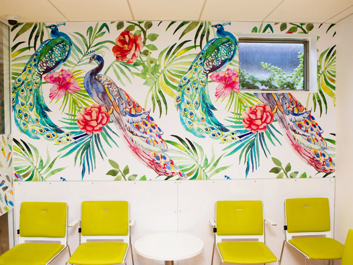 Waiting room of Peacock Centre - a multicoloured peacock mural with 4 green waiting room chairs in front