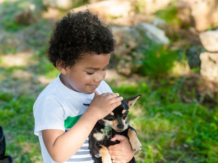 Young boy holding a small dog and smiling. The boy is petting the dog on the head.