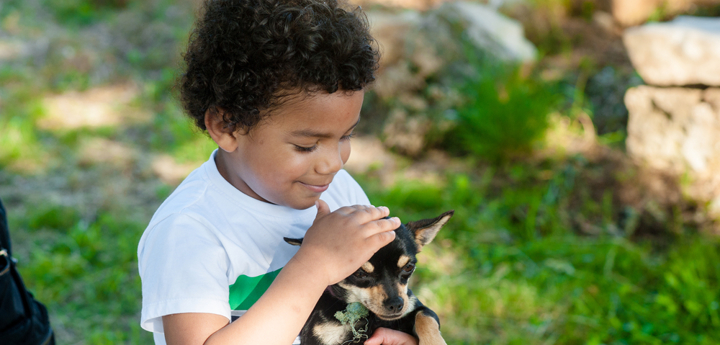 Young boy holding a small dog and smiling. The boy is petting the dog on the head.