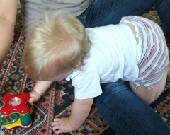 Baby leaning over an adult's leg to play with a toy into a supported crawling position