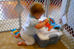 Baby sitting up on knees playing with a toy on the floor