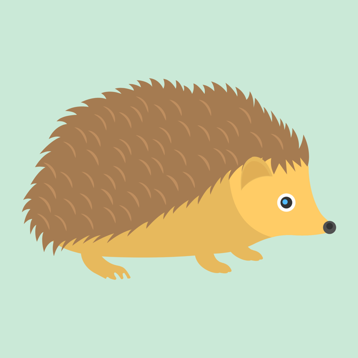 A hedgehog on a green background