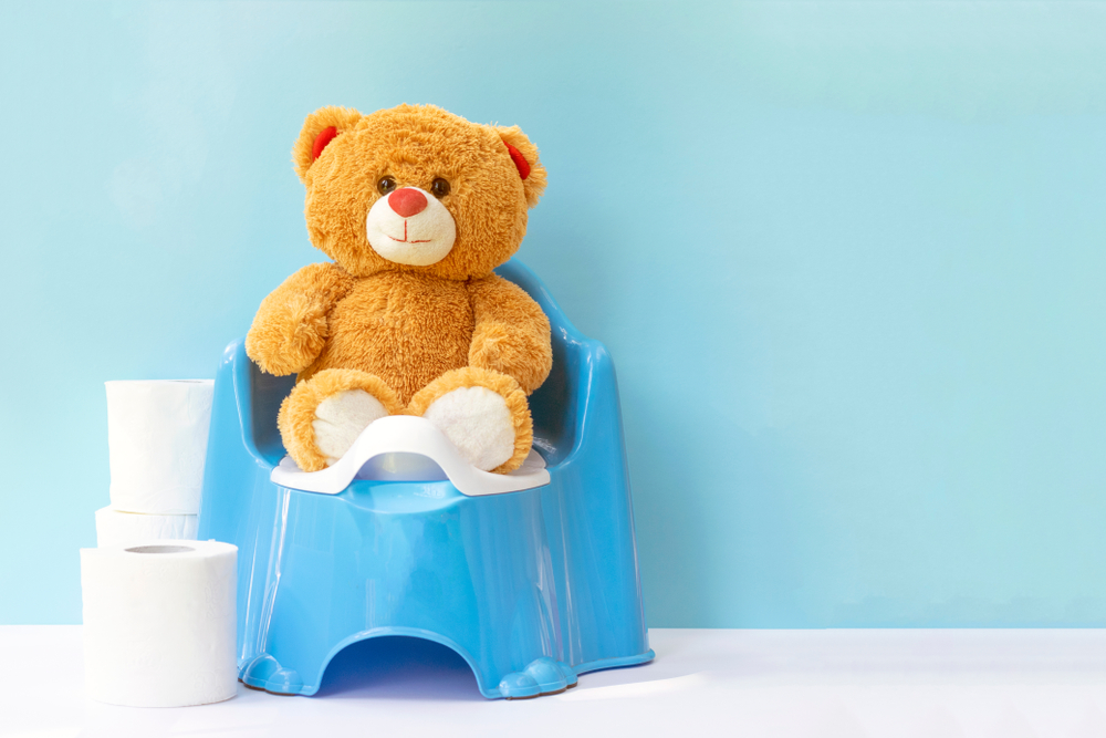 A teddy bear sitting on a potty with a stack of toilet roll next to it. 