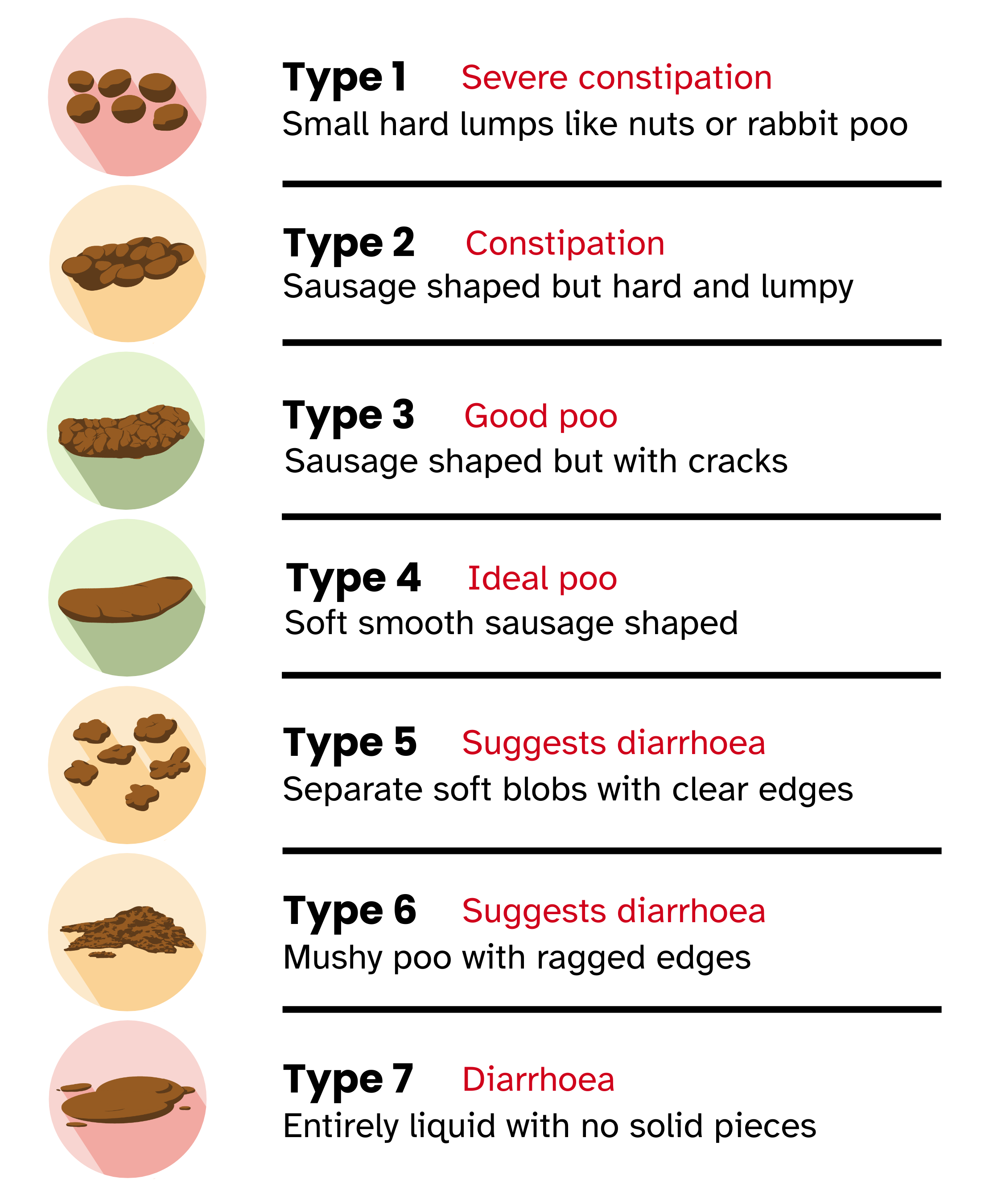 Type 1: small hard lumps like nuts or rabbit poo shows severe constipation, Type 2: Sausage shaped but hard and lumpy shows constipation, Type 3: Sausage shaped but with cracks is a good poo, Type 4: Soft smooth sausage shaped is the ideal poo, Type 5: Separate soft blobs with clear edges suggests diarrhoea, Type 6: Mushy poo with ragged edges suggests diarrhoea, Type 7: Entirely liquid with no solid pieces is diarrhoea 